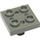 LEGO Dark Gray Plate 2 x 2 with Bottom Pin (Small Holes in Plate) (2476)