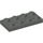 LEGO Dark Gray Plate 2 x 4 (3020)