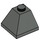 LEGO Dark Gray Slope 2 x 2 (45°) Corner (3045)