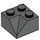 LEGO Dark Gray Slope 2 x 2 (45°) with Double Concave (Rough Surface) (3046 / 4723)