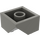 LEGO Dunkelgrau Steigung 2 x 2 (45°) mit Doppelt Concave (Raue Oberfläche) (3046 / 4723)