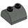LEGO Dark Gray Slope 2 x 2 Curved with 2 Studs on Top (30165)