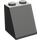LEGO Dark Gray Slope 2 x 2 x 2 (65°) with Bottom Tube (3678)