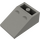 LEGO Dunkelgrau Steigung 2 x 3 (25°) Invertiert ohne Verbindungen zwischen Bolzen (3747)