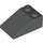 LEGO Dark Gray Slope 2 x 3 (25°) with Rough Surface (3298)