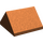 LEGO Orange sombre Pente 2 x 2 (45°) Double (3043)