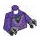 LEGO Violet Foncé Minifigurine Torse avec Dark Violet Robe Paterne (973)