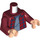 LEGO Mørkerød Harry Potter med Mørkerød Plaid Skjorte og Mørkebrun Ben Minifig Torso (973 / 76382)