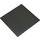 LEGO Dark Stone Gray Baseplate 16 x 16 with Driveway (30225 / 51595)