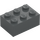 LEGO Dark Stone Gray Brick 2 x 3 (3002)