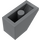 LEGO Gris pierre foncé Pente 1 x 2 (45°) (3040 / 6270)