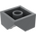 LEGO Donker Steengrijs Helling 2 x 2 (45°) met Dubbele Concave (Ruw oppervlak) (3046 / 4723)