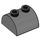 LEGO Gris pierre foncé Pente 2 x 2 Incurvé avec 2 Goujons sur Haut (30165)