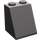 LEGO Donker Steengrijs Helling 2 x 2 x 2 (65°) met buis aan de onderzijde (3678)