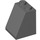 LEGO Dark Stone Gray Slope 2 x 2 x 2 (65°) with Bottom Tube (3678)