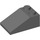 LEGO Gris pierre foncé Pente 2 x 3 (25°) avec surface rugueuse (3298)