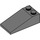 LEGO Dark Stone Gray Slope 2 x 4 (18°) (30363)
