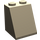 LEGO Dunkel Beige Steigung 2 x 2 x 2 (65°) mit Unterrohr (3678)