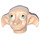 LEGO Dobby Head with Green Eyes (43745)