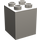 LEGO Duplo Gris très clair Brique 2 x 2 x 2 (31110)