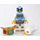 LEGO Ewar met Gold Armor minifiguur