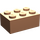 LEGO Huidskleurig Steen 2 x 3 (3002)