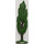 LEGO Green Cypress Tree