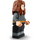 LEGO Harry Potter &amp; Hermione Granger Set 76393
