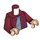 LEGO Harry Potter with Open Red Check Shirt Minifig Torso (973 / 76382)