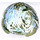 LEGO Hemisphere 11 x 11 mit Bolzen auf oben mit Planet Endor (98107 / 99932)