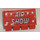 LEGO Scharnier Tegel 2 x 4 met Ribs met &#039;Lucht SHOW&#039; Sticker (2873)