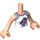 LEGO Licht vleeskleurig Stephanie Friends Torso (35862 / 73141)