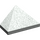 LEGO Gris clair Pente 1 x 2 (45°) Tripler avec barre intérieure (3048)