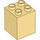 LEGO Jaune clair Duplo Brique 2 x 2 x 2 (31110)