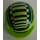 LEGO Lime Crash Casco con Verde Strisce (2446 / 43077)