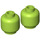 LEGO Lime Minifigure Head (Recessed Solid Stud) (3274 / 3626)