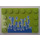 LEGO Lime Tile 4 x 6 med Knotter på 3 Edges med Water Splash (6180 / 89557)