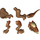 LEGO Mittleres dunkles Fleisch Stygimoloch