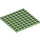 LEGO Verde medio Piastra 8 x 8 (41539 / 42534)