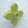 LEGO Medium lime Blomst 2 x 2 med Angular Klinge (4727)