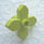 LEGO Mittlerer Kalk Blume 2 x 2 mit Angular Blätter (4727)