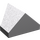 LEGO Mittleres Steingrau Steigung 1 x 2 (45°) Doppelt / Invertiert mit offenem Boden (3049)