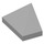 LEGO Gris pierre moyen Pente 1 x 2 (45°) Tripler avec surface lisse (3048)