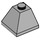LEGO Gris pierre moyen Pente 2 x 2 (45°) Coin (3045)
