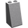 LEGO Medium Stone Gray Slope 2 x 2 x 3 (75°) Hollow Studs, Rough Surface (3684 / 30499)