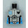 LEGO Minifig Torso without Arms with Decoration (973)