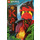 LEGO Ninjago Poster 2021 Issue 4 (Double-Sided) (Czech)