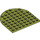 LEGO Olive verte assiette 8 x 8 Rond Demi Cercle (41948)