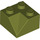 LEGO Olive Green Slope 2 x 2 (45°) with Double Concave (Rough Surface) (3046 / 4723)