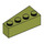 LEGO Olive Green Wedge Brick 2 x 4 Right (41767)